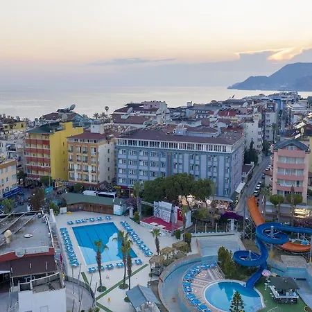 Aslan & Otel