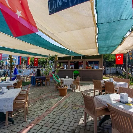 Aslan & Otel