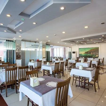Aslan & Otel